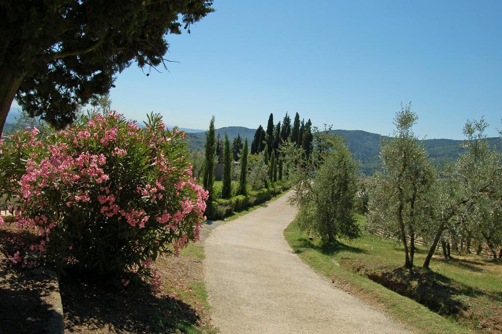 Agriturismo La Forra Cavriglia Exterior foto